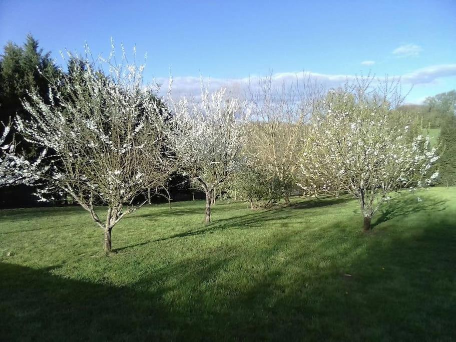 Dependance Pour 1 A 4 Pers Au Calme Dans Propriete Villa Marboz Exterior photo