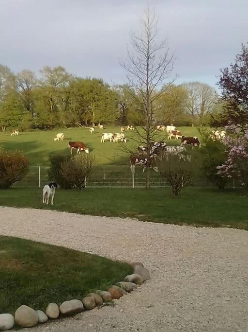 Dependance Pour 1 A 4 Pers Au Calme Dans Propriete Villa Marboz Exterior photo